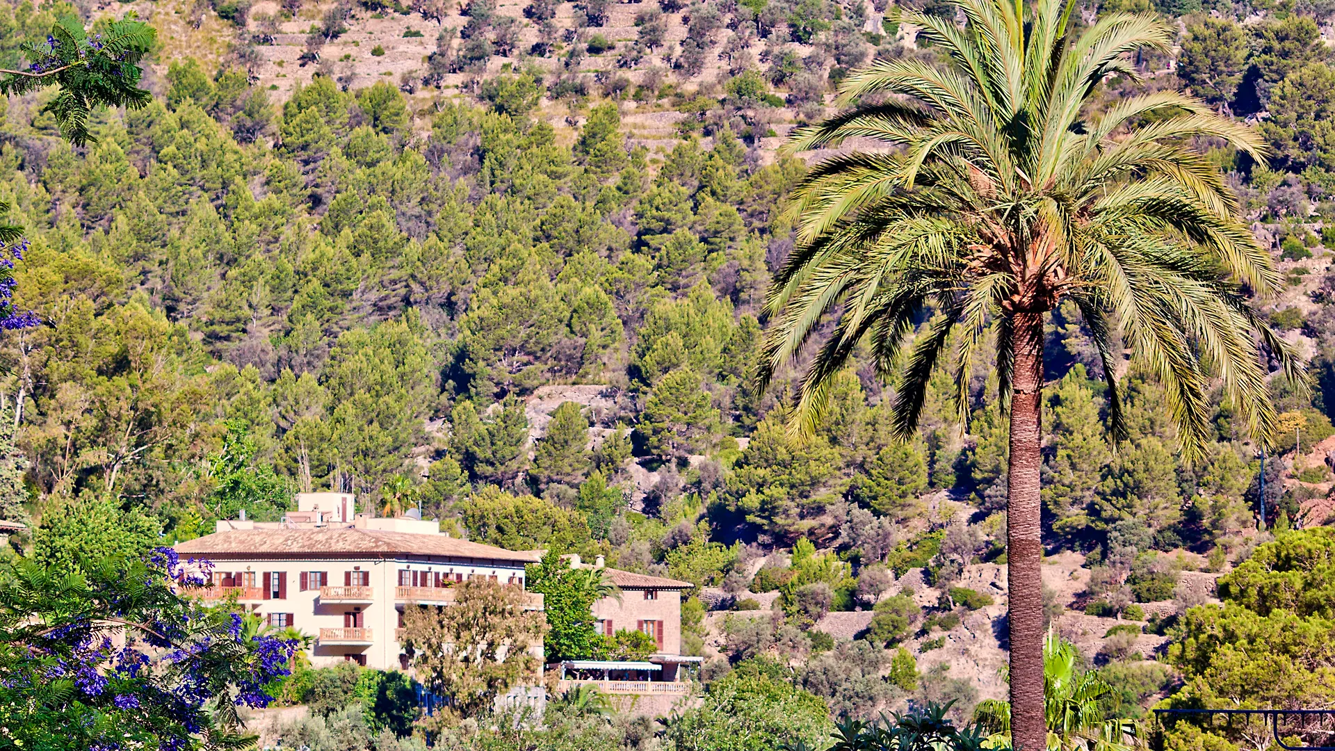 Es Moli Hotel Deià